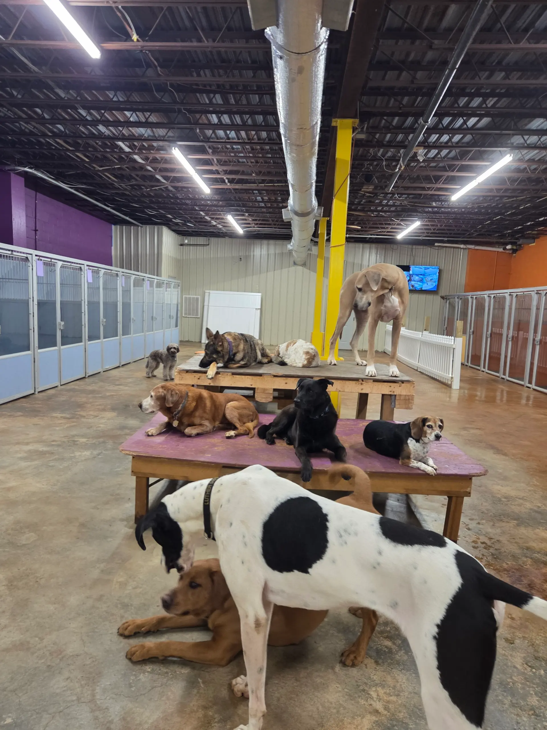 Inside the Taj Mapaw facility in Roanoke, Virginia