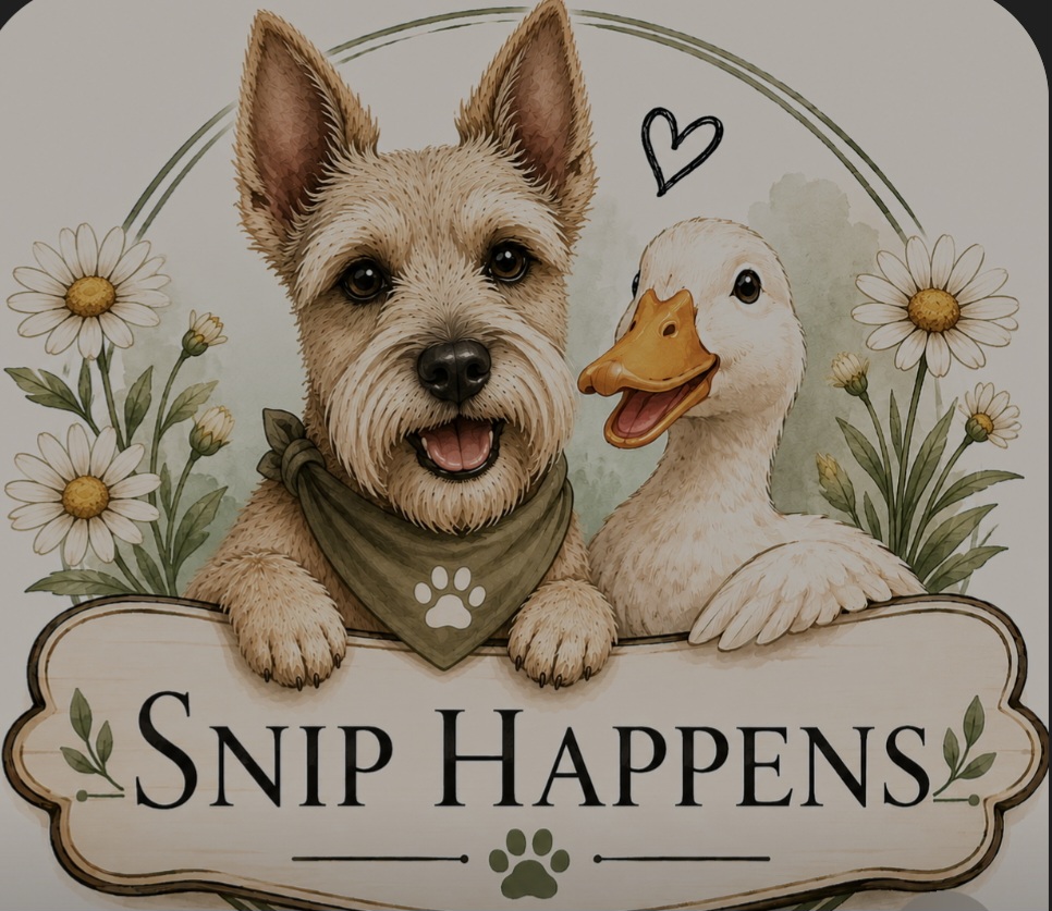 Professional dog grooming by Snip Happens Pet Grooming