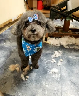 20201203_150725_capture - Copy