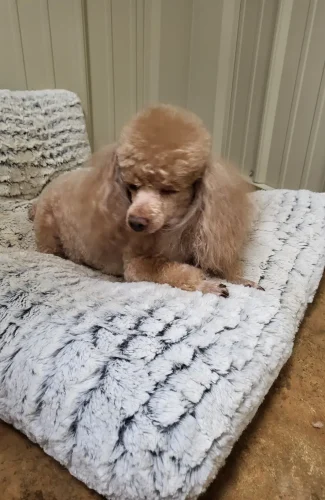 20231005_152358 - Copy