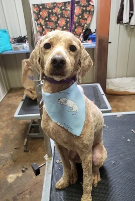 20251204_113432 - Copy