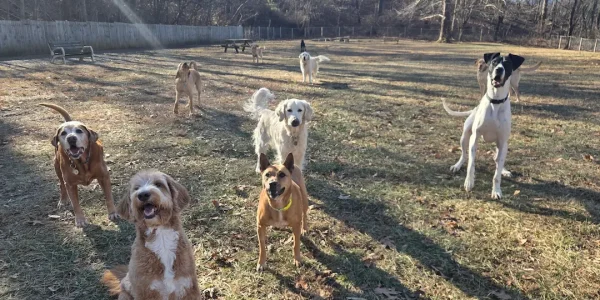 Resized_20251216_104032