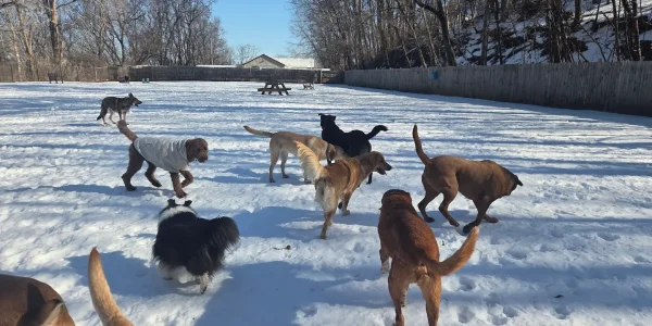 Resized_20260209_102246